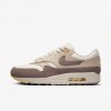 Nike Air Max 1 Premium