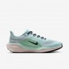 Nike Pegasus 41