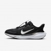 Nike Pegasus EasyOn