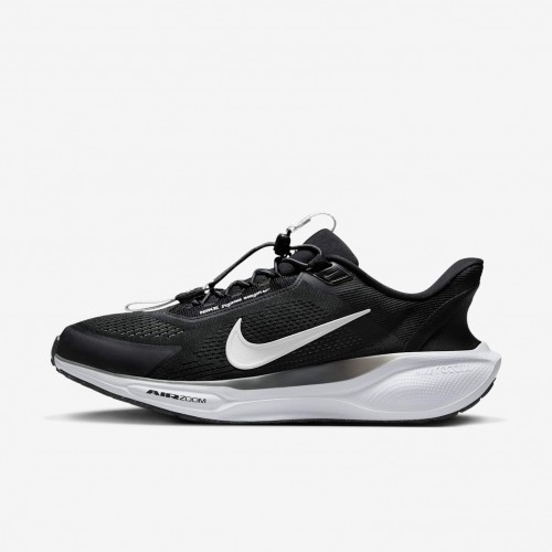 Nike Pegasus EasyOn