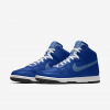 Nike Dunk High By