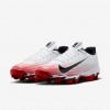 Nike Vapor Shark 3