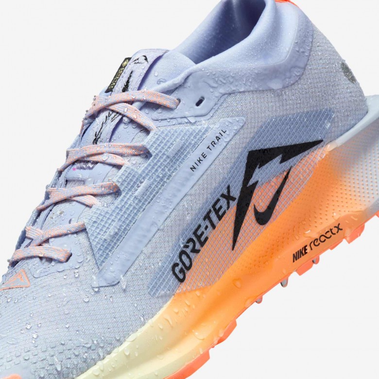Nike Pegasus Trail 5 GORE-TEX Nike Pegasus Trail 5 GORE-TEX