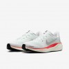 Nike Pegasus 41