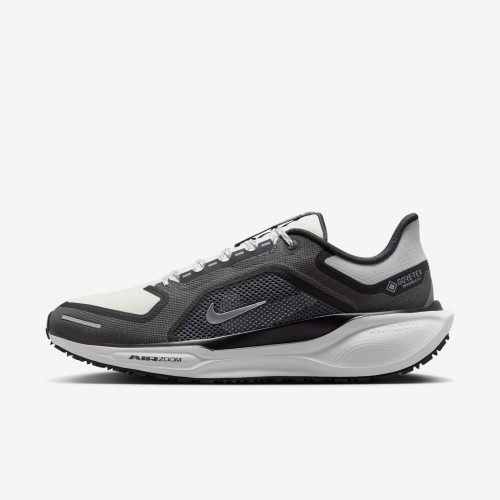 Nike Pegasus 41 GORE-TEX