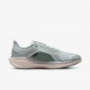 Nike Pegasus 41 GORE-TEX