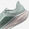 Nike Pegasus 41 GORE-TEX