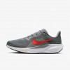Nike Pegasus 41