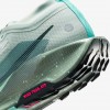 Nike Pegasus Trail 5 GORE-TEX