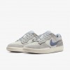 Nike SB Force 58