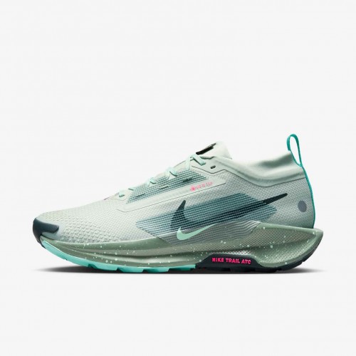 Nike Pegasus Trail 5 GORE-TEX