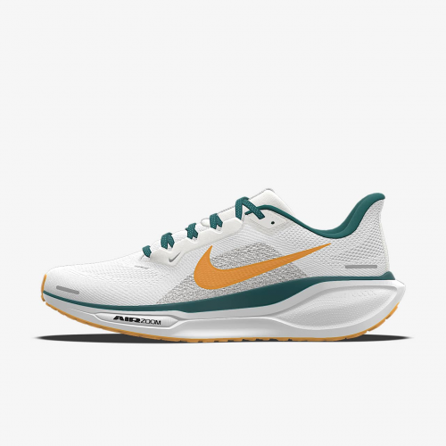 Nike Pegasus 41 By