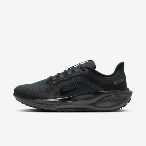 Nike Pegasus 41 GORE-TEX