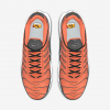 Nike Air Max Plus By