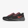 Nike Pegasus 41 By