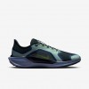 Nike Pegasus 41 GORE-TEX