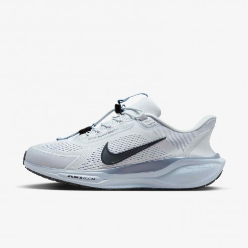 Nike Pegasus EasyOn