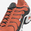 Nike Air Max Plus By