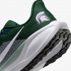 Michigan State Pegasus 41