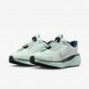 Nike Pegasus EasyOn
