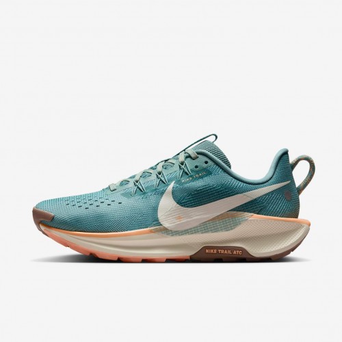 Nike Pegasus Trail 5