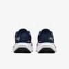 New England Patriots Pegasus 41