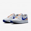 Nike Air Pegasus '89 G