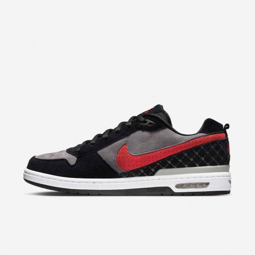 Paul Rodriguez Zoom Air Low