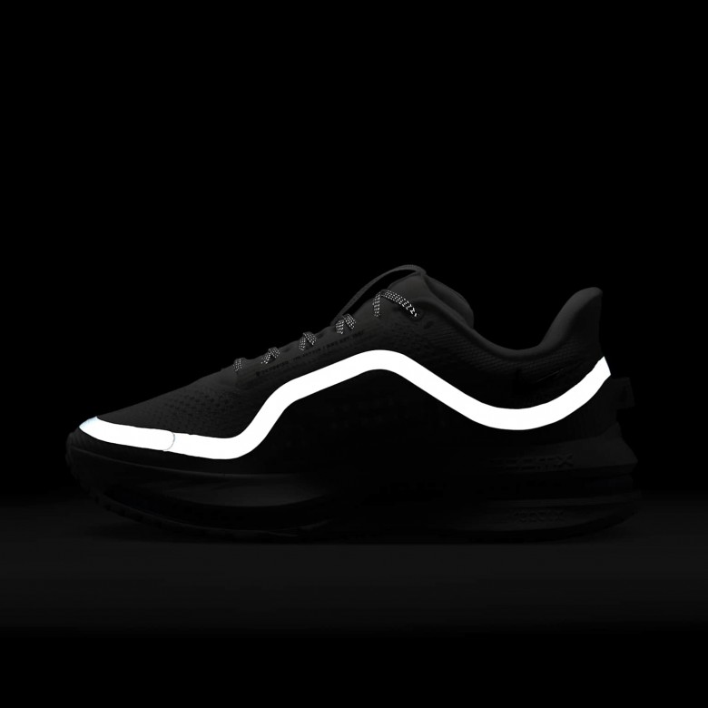 Nike Pegasus Premium Nike Pegasus Premium