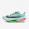Nike Zoom Fly 6