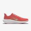 Nike Pegasus 41 By