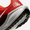 Cleveland Browns Pegasus 41