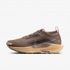 Nike Pegasus Trail 5 GORE-TEX