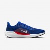 Buffalo Bills Pegasus 41