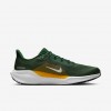 Green Bay Packers Pegasus 41