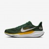 Green Bay Packers Pegasus 41