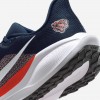 Chicago Bears Pegasus 41