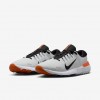 Nike Free Golf NN