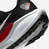 Houston Texans Pegasus 41