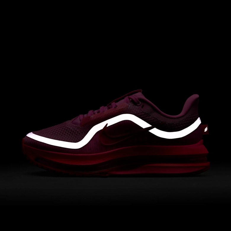 Nike Pegasus Premium Nike Pegasus Premium