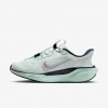 Nike Pegasus EasyOn