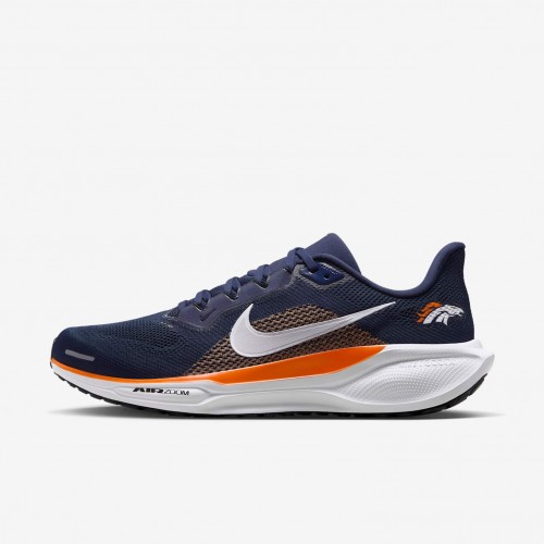 Denver Broncos Pegasus 41