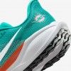 Miami Dolphins Pegasus 41