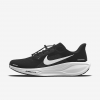 Nike Pegasus 41 By