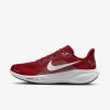 Arizona Cardinals Pegasus 41