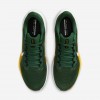 Green Bay Packers Pegasus 41