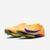 Nike Maxfly 2
