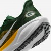 Green Bay Packers Pegasus 41