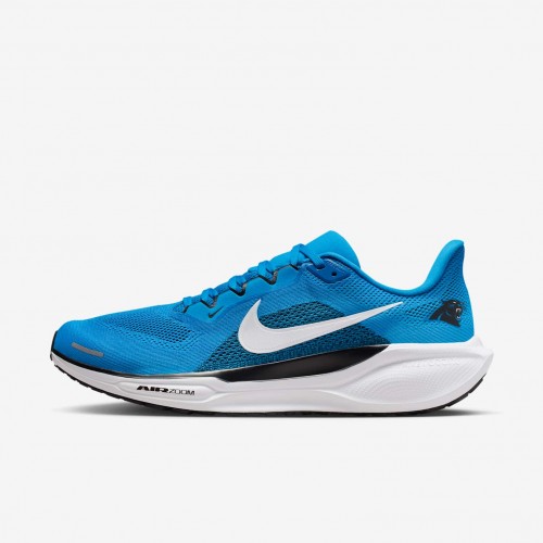 Carolina Panthers Pegasus 41