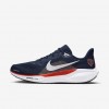 Chicago Bears Pegasus 41